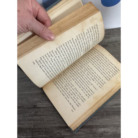 1953 Sparkplug of the Hornets By Stephen W. Meader - Picture 7 of 13